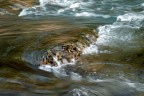 Flussi di fiume