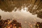 Laghetto_MonteLivata_RM_Nov2023_2
