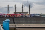 urban #137