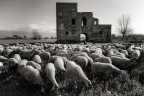 Intervallo