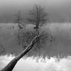 Fredda mattina sul fiume Fredda mattina sul fiume