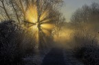Frost