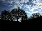 mattino