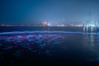 Venezia_Gen2024_2