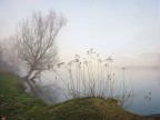 Adda
