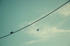 Separazioni