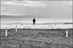 Monfalcone