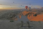 il cammello e le mongolfiere