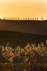 al tramonto