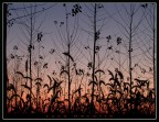 Tramonto di tardo autunno