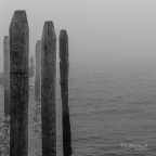 Come  triste Venezia (La serie)