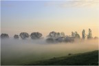 Alba e nebbia...