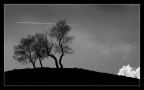 paesaggio b/n 2