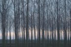 Veneto_e_Friuli_Gen2024_2
