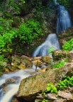 Torrente alpino
