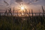 Saline_Cervia_Giu2024_3