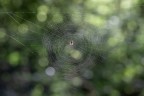 Macro_Giu2024_4