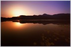 Alba lacustre