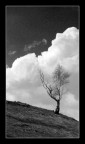 paesaggio b/n 3