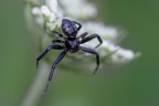 Macro_Giu2024_6