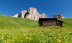 El Tabi