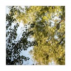 st