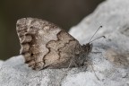 Macro_Ago2024_21