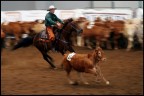 Fiera di Travagliato Cavalli_Gara di Team Penning