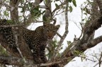 Kruger National Park
ottobre 2021