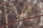 Macro_Ago2024_d1