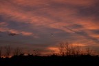 https://www.flickr.com/photos/giovanniq/53976849637/in/dateposted-public/