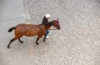 verso il Palio