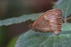 Macro_Set2024