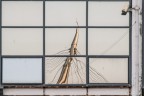https://www.flickr.com/photos/giovanniq/53066049060/in/dateposted-public/