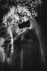 https://www.flickr.com/photos/giovanniq/33951472744/in/dateposted-public/