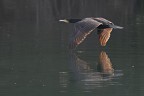 In volo