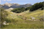 Lintervallo
