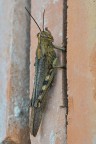 Verticalizzazioni