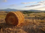 Val d'Orcia, estate, fieno , vino, tanta tranquillit.