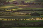 https://www.flickr.com/photos/giovanniq/54067384830/in/dateposted-public/