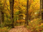  arrivato l'autunno