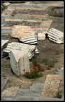 Roma Riposa..