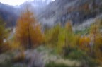 30 Ottobre 2024 - Ceresole reale