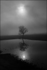Soli...