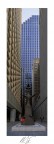 Sculture schiacciata tra i grattacieli Chicago downtown
