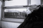 Trans Europ Express