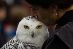 Il bacio ...