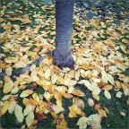 Autunno
