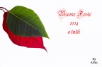 Tanti Auguri