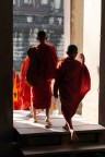 Monaci presso Angkor Wat (Cambogia)